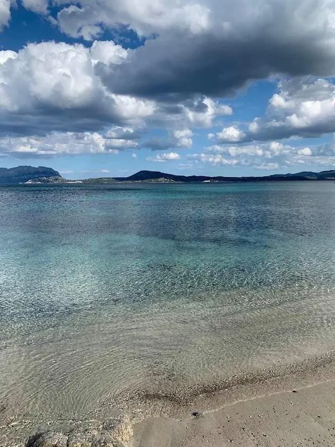 Rosa Dei Venti - Casa Levante - Sardegna - Iun R2403 أولبيا بيت للعطل